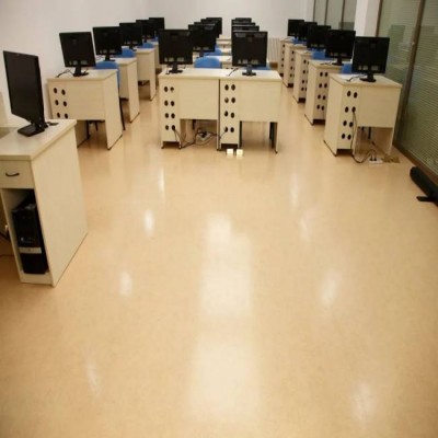 Pvc Plastic Colorful Indoor Non Slip Waterproof Commercial Vinyl Flooring For Silent Office